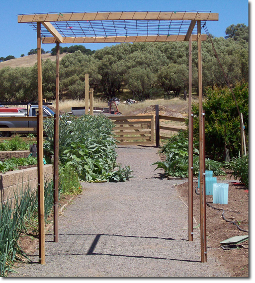 long gourd trellis