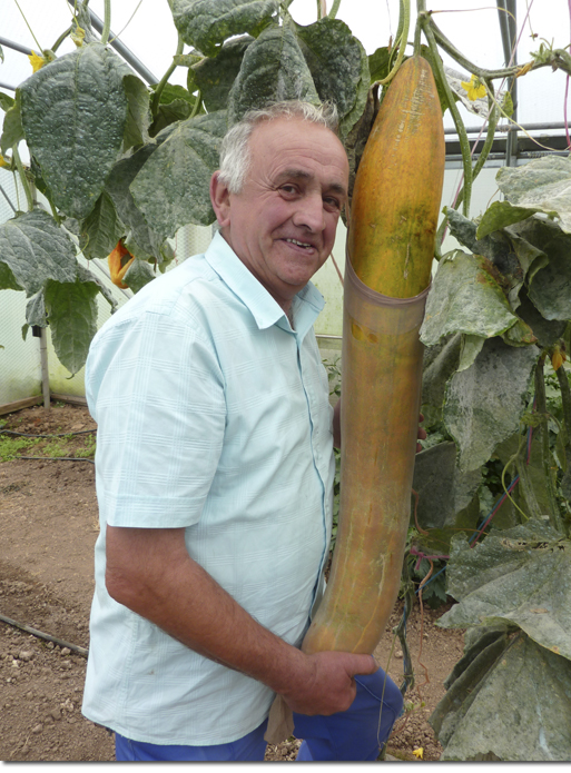 Giant Vegetable Varieties