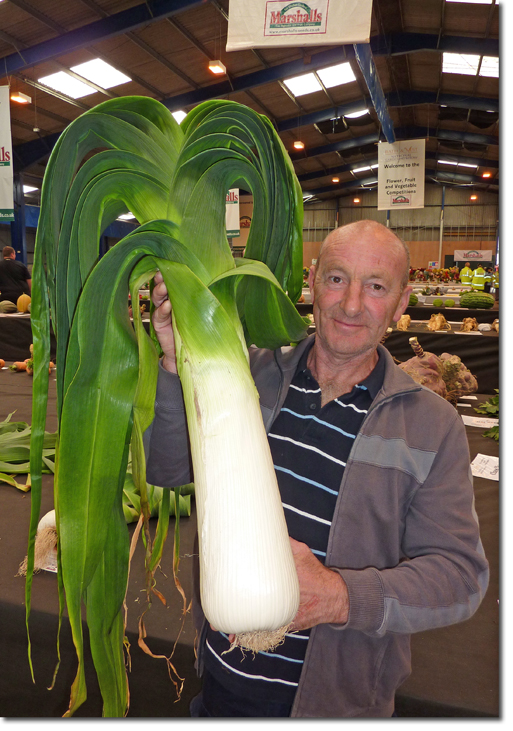 Giant Leek