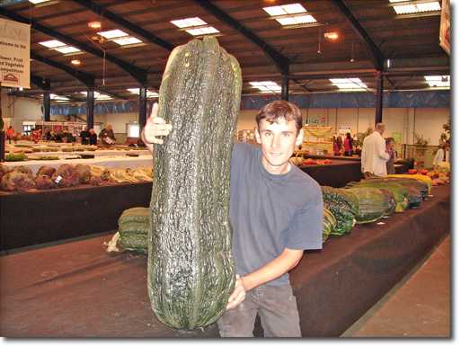 Giant Marrows