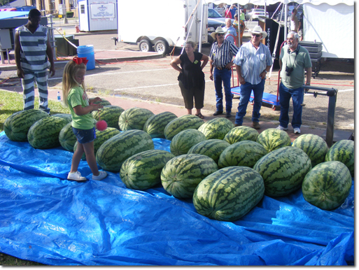 Giant Watermelon