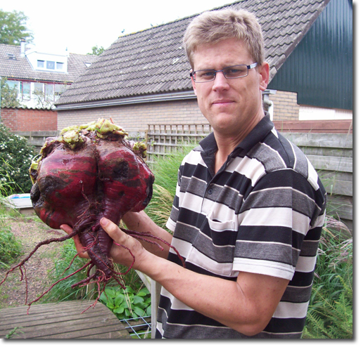 Giant Beet